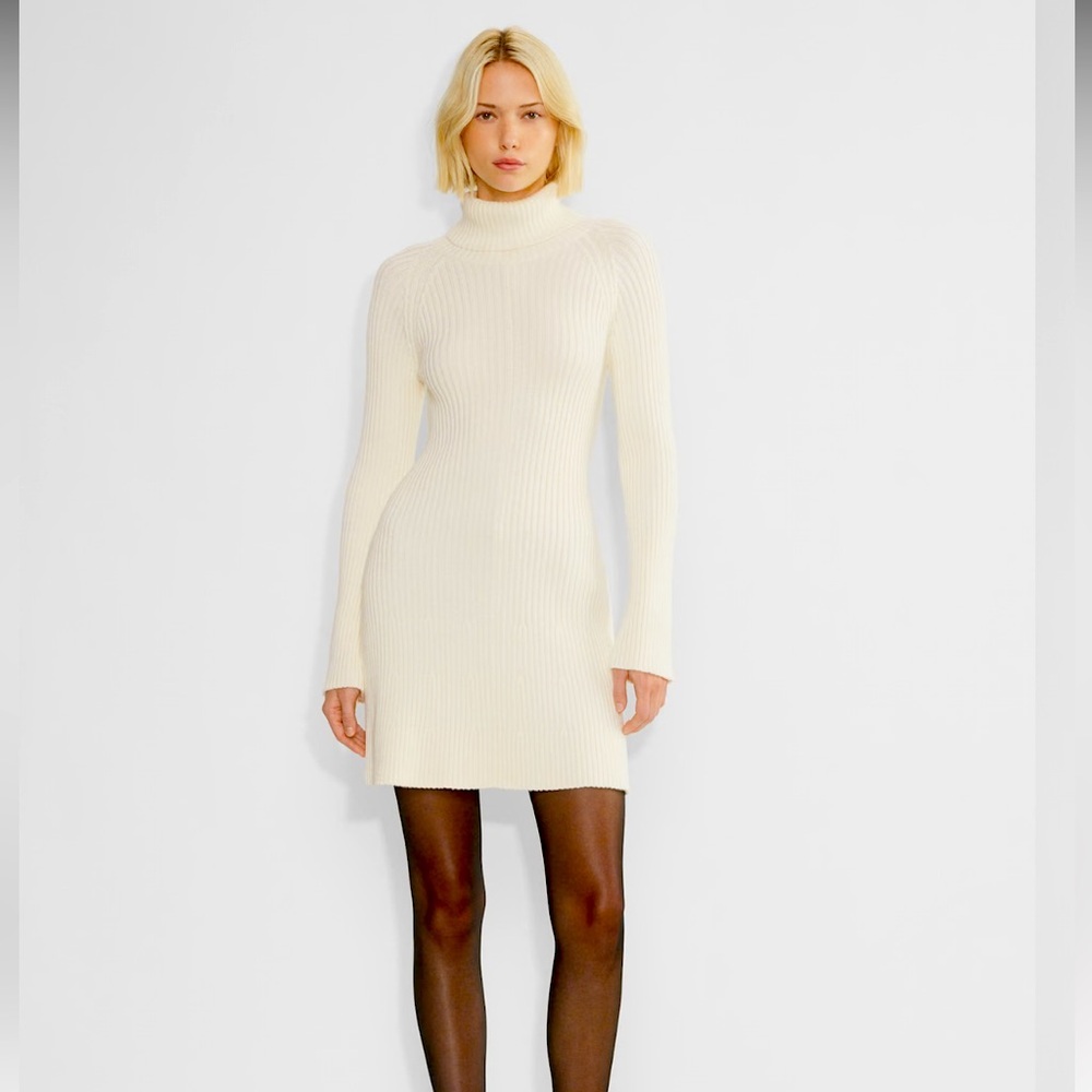 Aritzia Sunday Best Rhapsody Dress